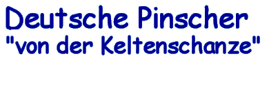 Deutsche Pinscher - von der Keltenschanze